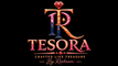Tesora.ae part of Almashy solutions FZ LLC - Home